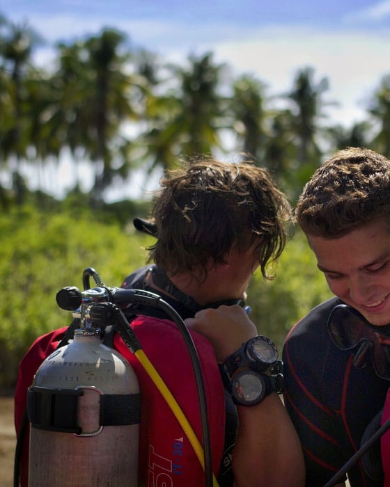 Volunteer at a marine conservation project
