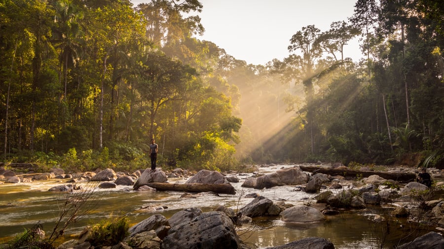 Möt ursprungsbefolkningen i Taman Negara
