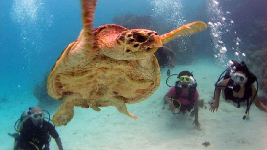 Under water in Mexico