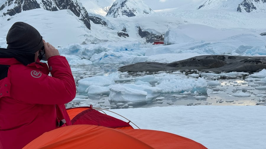 Trip to Antarctica