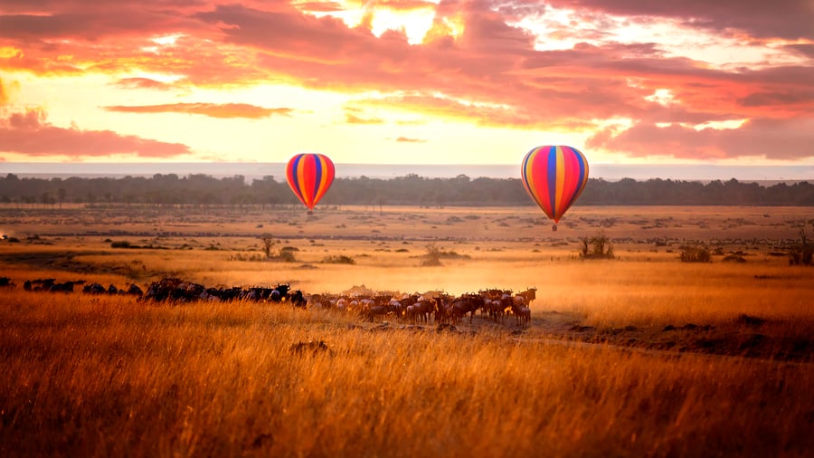 Oplev Masai Mara fra en luftballon