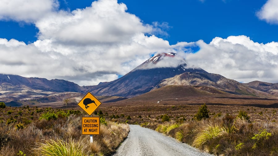 Smuk køretur i Tongariro National Park