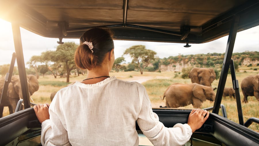 Game drive i Kenya med de store elefanter