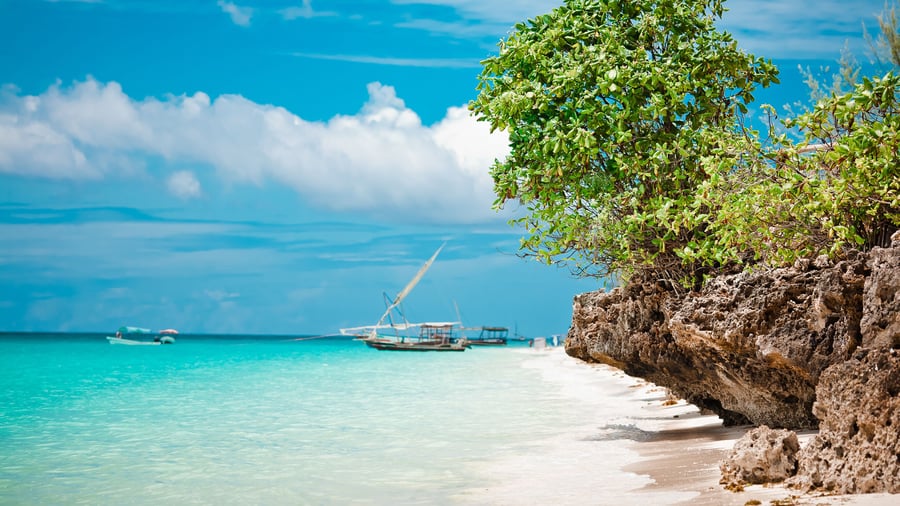 Ningwi Beach på Zanzibar