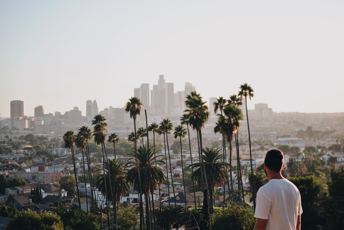 Skyline van LA met palmbomen
