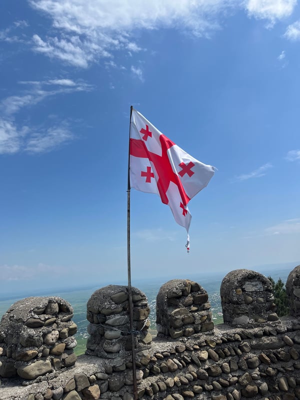 Georgiens flag