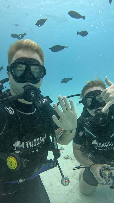Diving in the Maldives