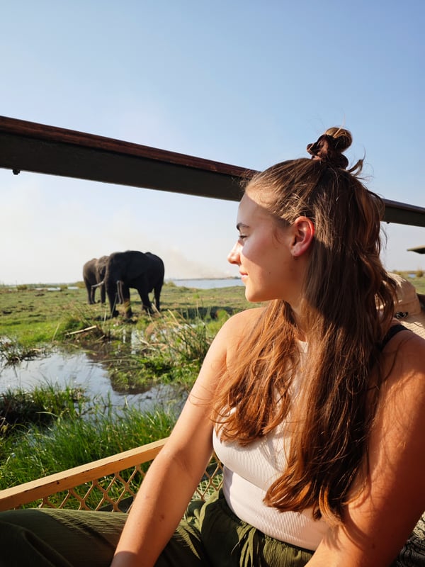 Upplev safari i Botswana.