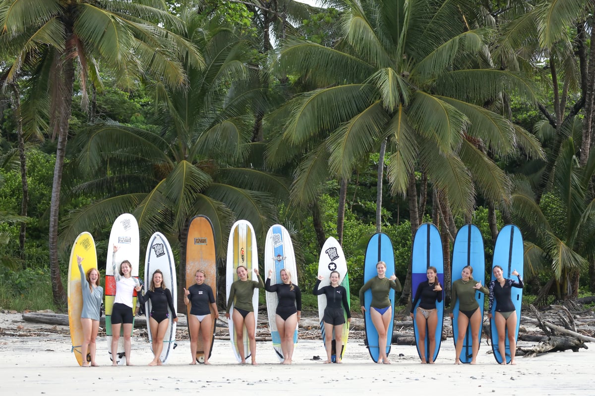 Learn how to surf