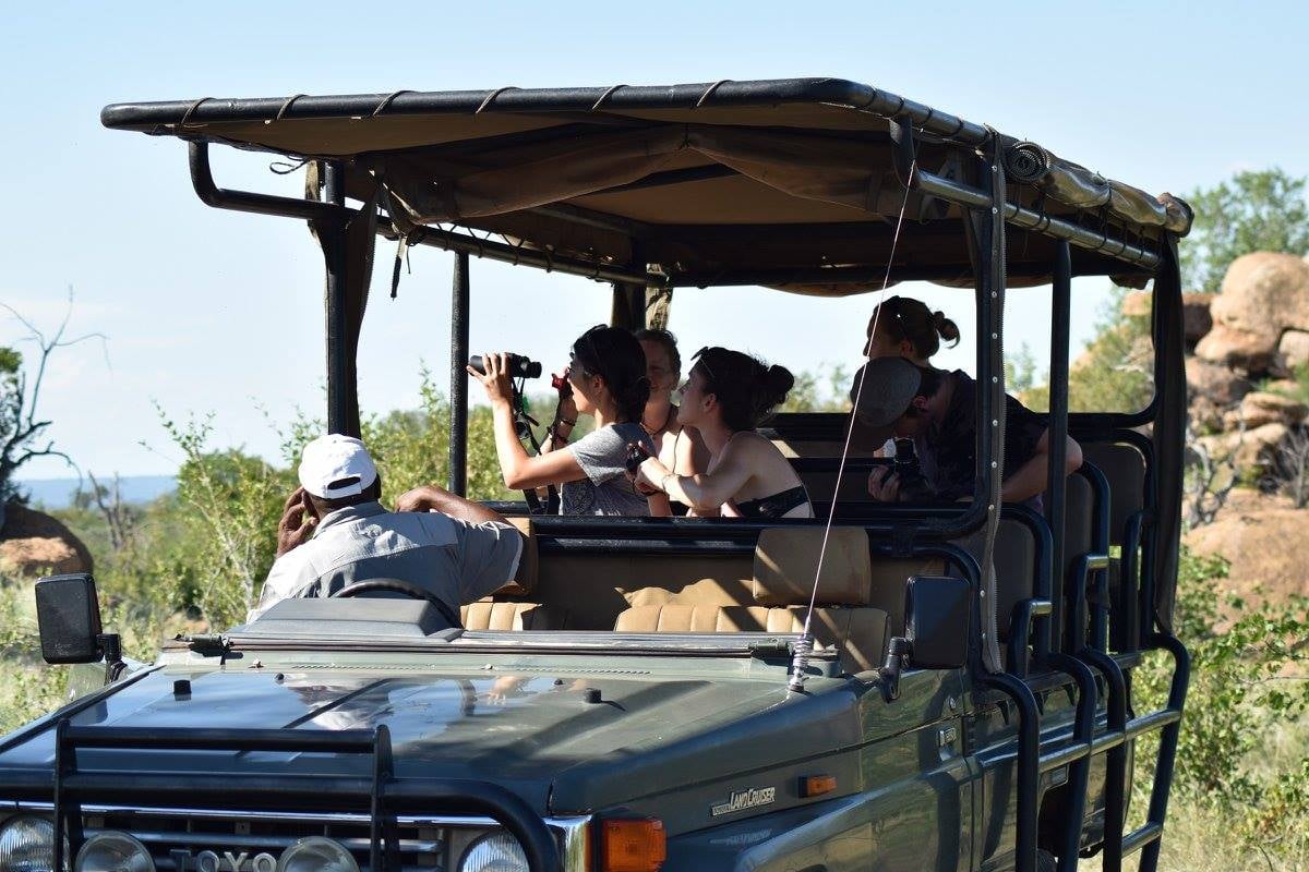 Go on a safari in Botswana