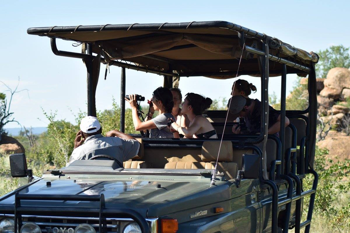 Go on a safari in Botswana