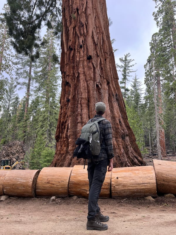 Kings Canyon National Park
