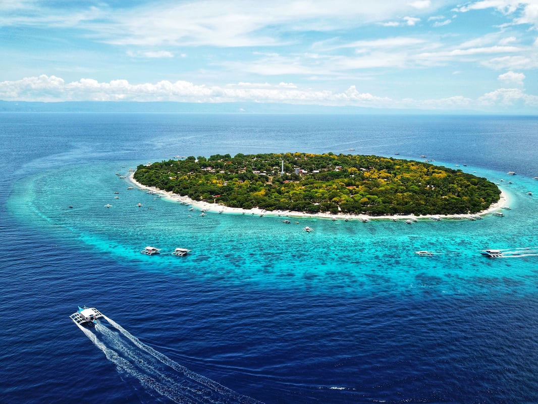 Balicasag nær Panglao og Bohol