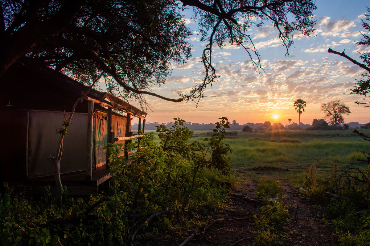 Moremi Crossing Camp