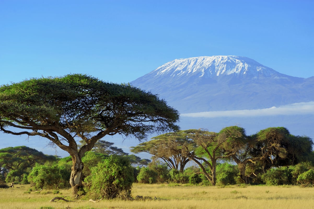 En av Afrikas höjdpunkter: Kilimanjaro