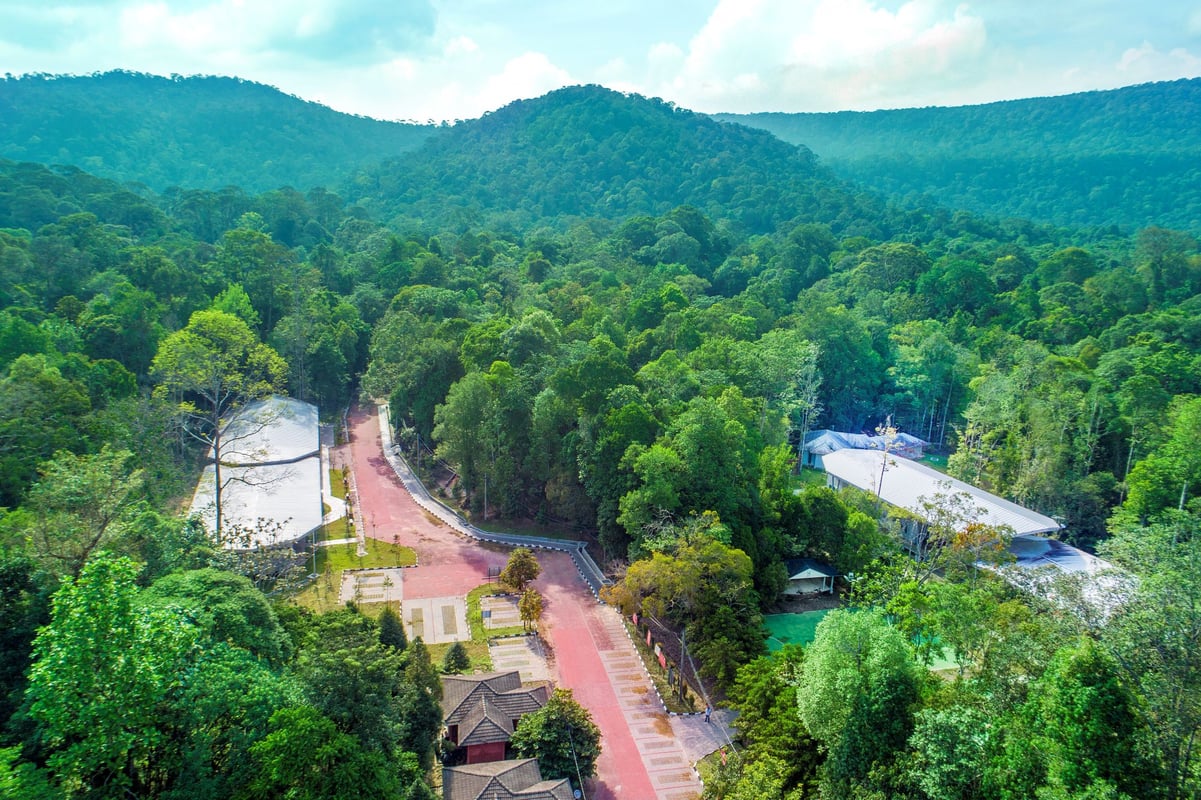 Området ved Rompin Rainforest Lodge set oppefra