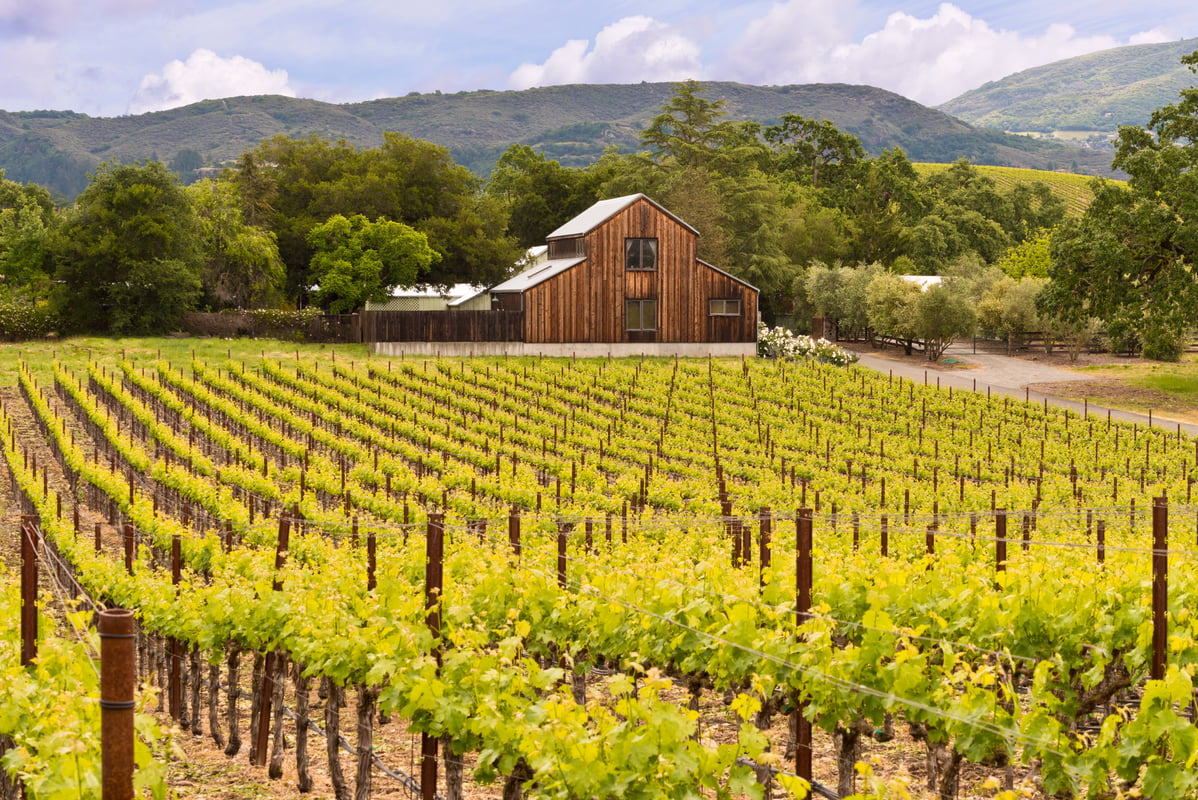 Napa Valley, Californien, USA
