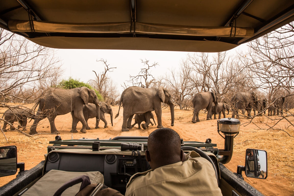 Chobe National Park, Botswana