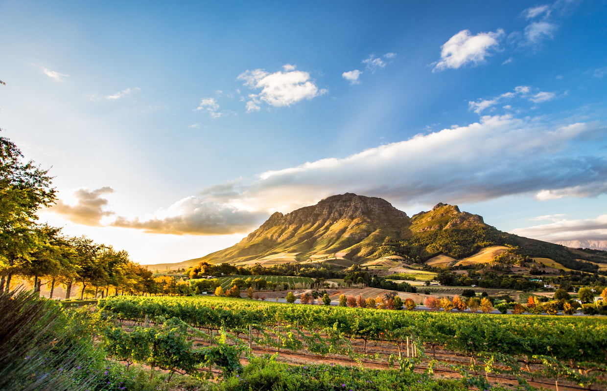 Stellenbosch, Sydafrika