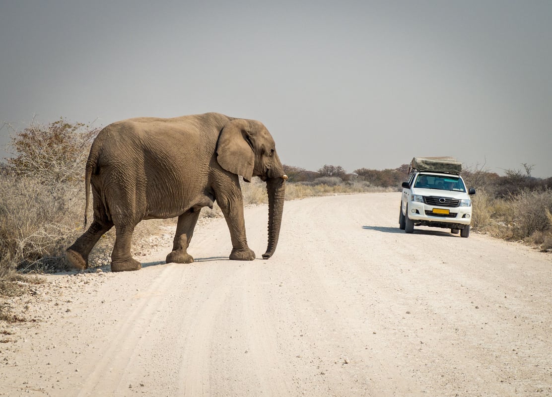 Etosha National Park