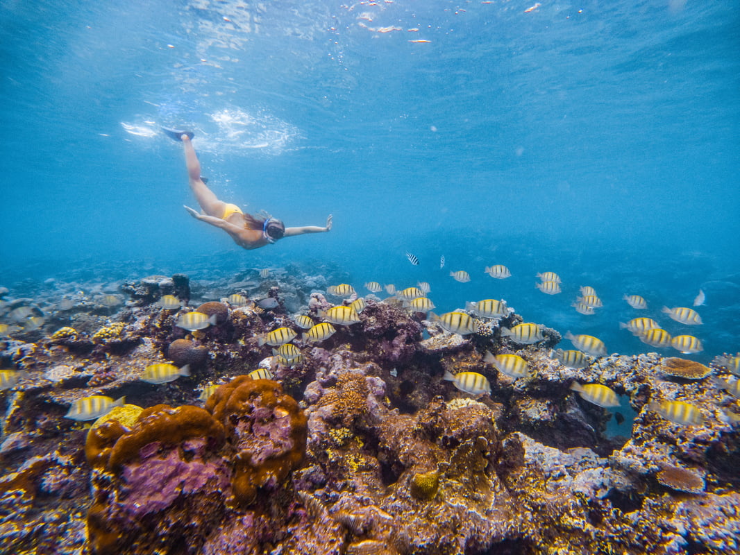 Diving in Fiji