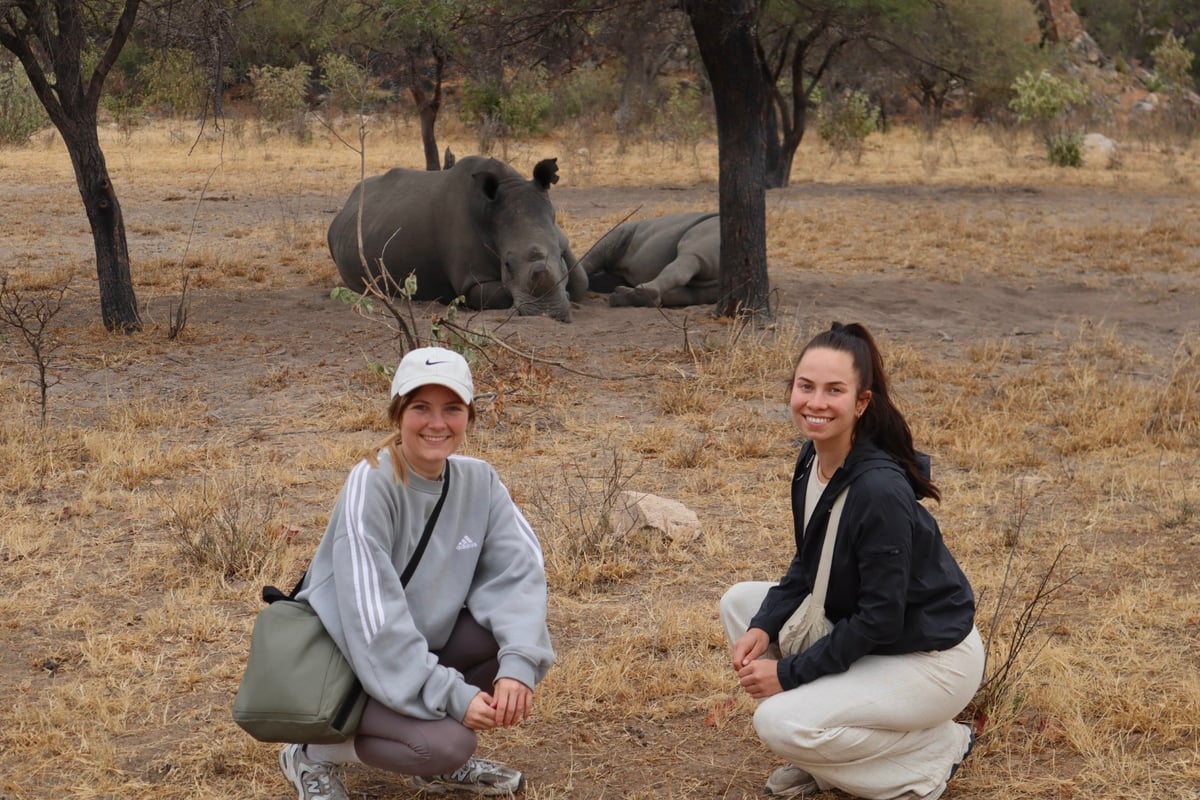 Spotting wildlife in Zimbabwe