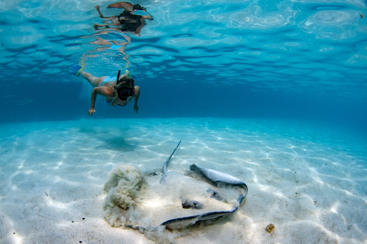 Rokke ved Moorea