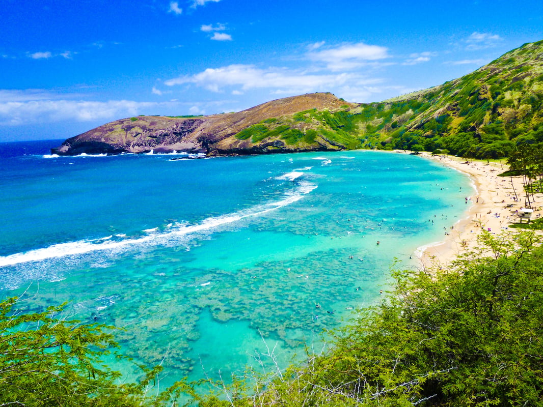 Beach in Hawaii