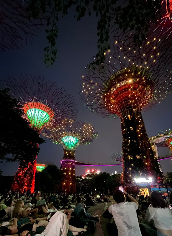 Ljusshowen vid Supertree Grove. 