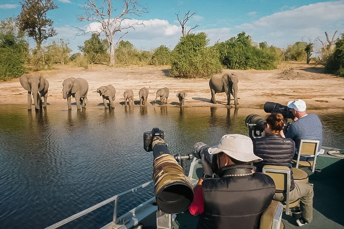 Chobe Safari Lodge bådtur på Chobe floden