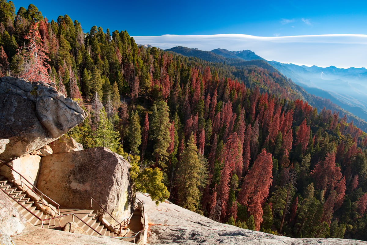 Höstens soluppgång över redwoodträden vid Moro Rock
