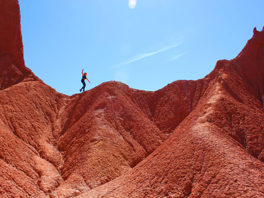 Nature of Chile
