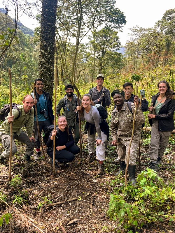 Gorillatrekking i Bwindi Impenetrable N.P