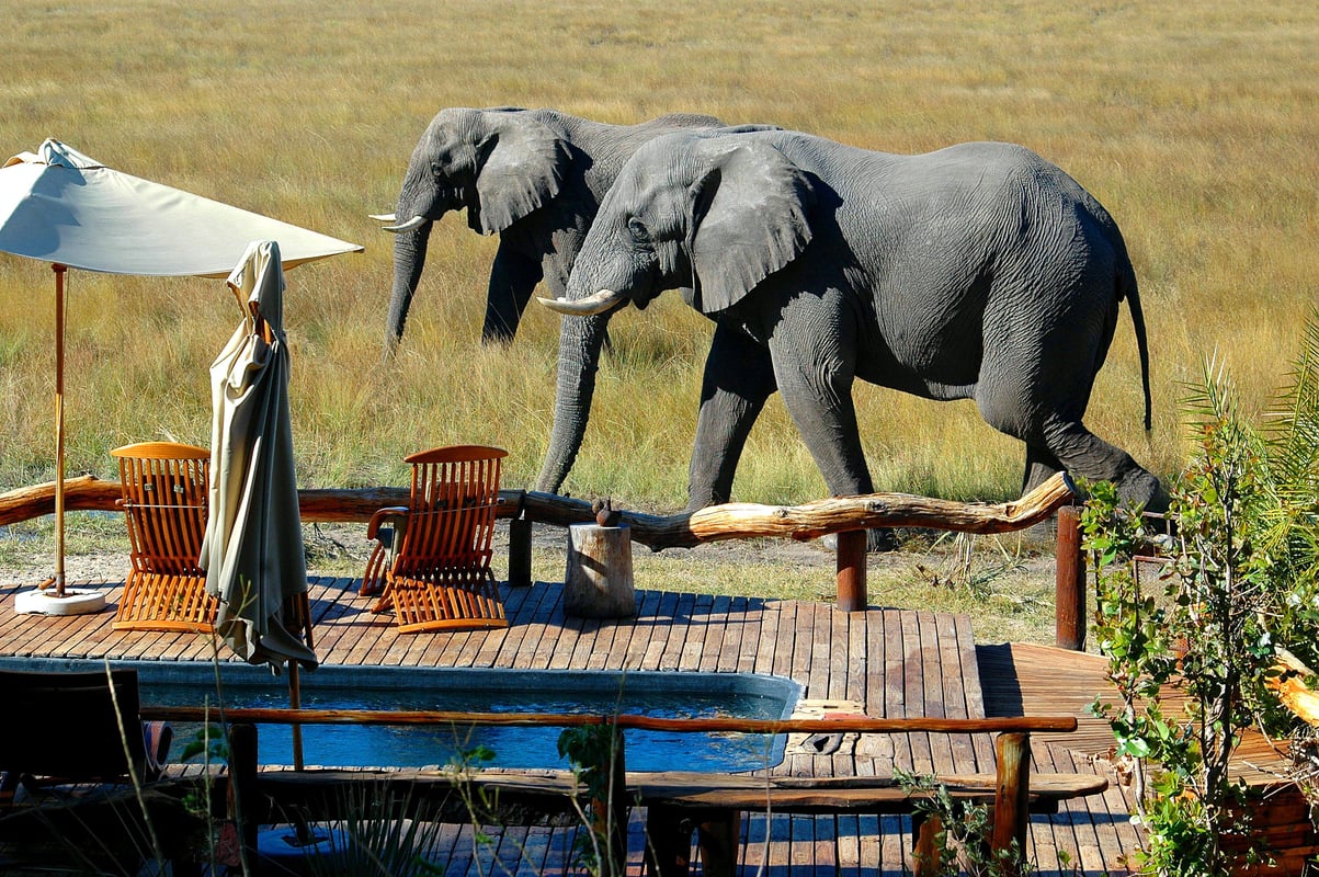 Okavango delta i Botswana