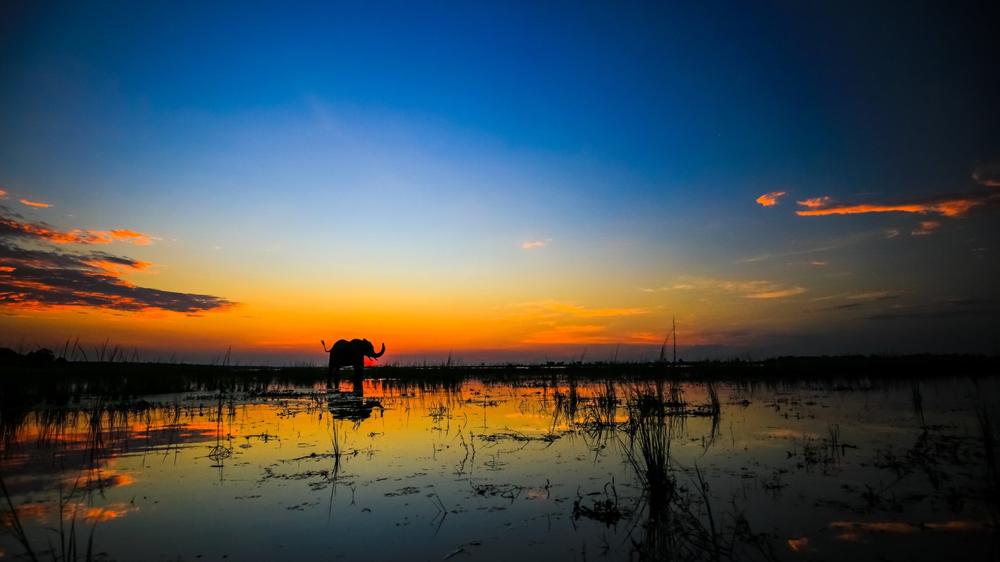 Okavango delta i Botswana
