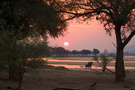 Solnedgang i smukke Mana Pools National Park