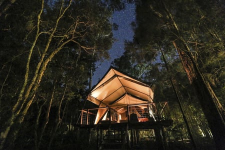 Paperbark Camp