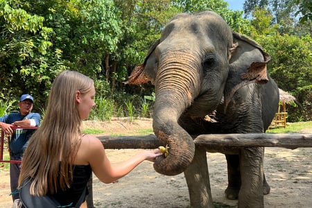 Elephant Sanctuary Phuket
