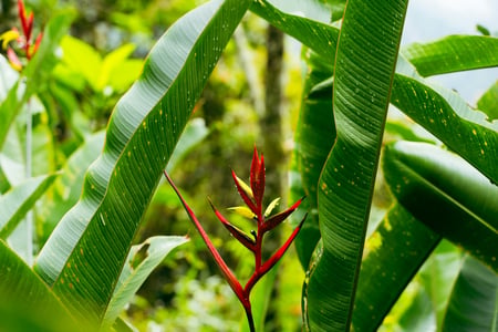 Beautiful flora and fauna