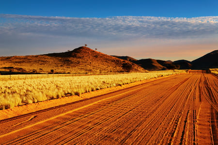Kalahariöknen i Namibia
