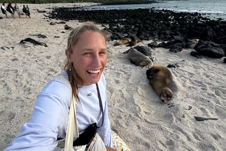 Wildlife in the Galápagos islands