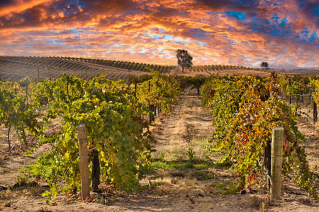 Paso Robles, Californien, USA