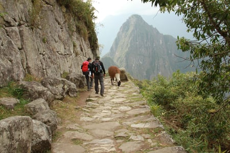 Vandring gennem Den Hellige Dal mod Machu Picchu