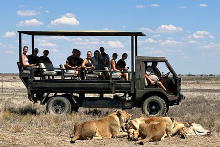 Häng med på game drives med lokala guider. 