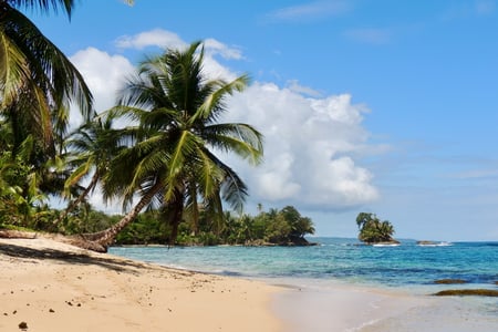 Flyg eller ta buss till Bocas del Toro. 