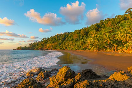 Corcovado nationalpark, Costa Rica