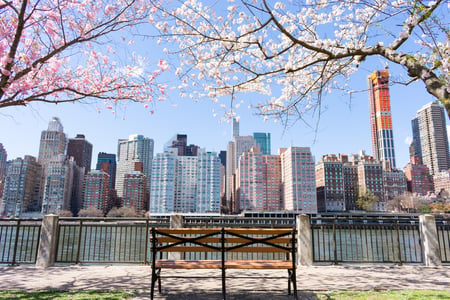 Roosevelt Island