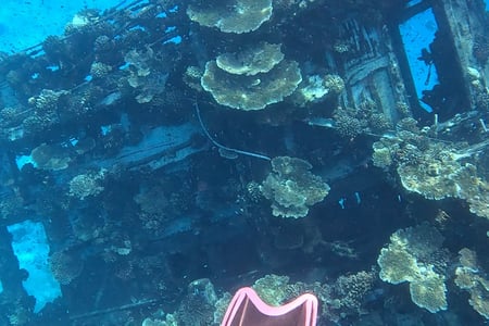 Diving adventures