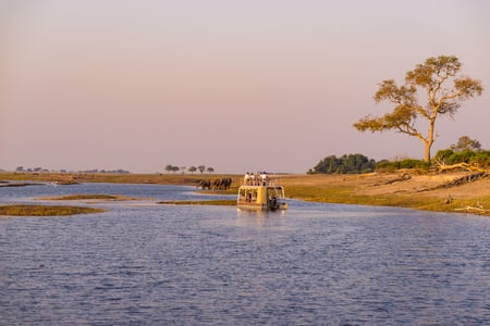 Bådtur på Chobe River, Botswana