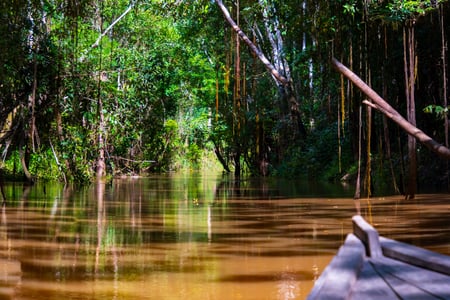 På opdagelse i Amazonas